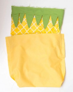 pineapple-backpack17