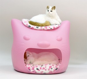 funny-cat-bed-and-stool-in-one-2