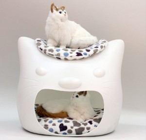 funny-cat-bed-and-stool-in-one-6