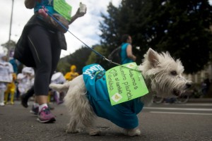 COLOMBIA-CLIMATE-DEMO