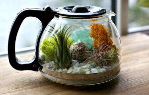 Upcycled-Coffee-Pot-Terrarium2__880-600x387