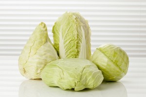 Variety of cabbages, close up