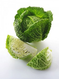 Savoy cabbage