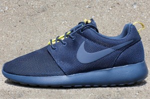 NIKE-ROSHE-RUN-SPLIT-PACK-PT-2-7