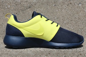 NIKE-ROSHE-RUN-SPLIT-PACK-PT-2-8